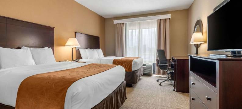 66 号公路附近舒适全套房酒店(Comfort Suites Near Route 66)图片