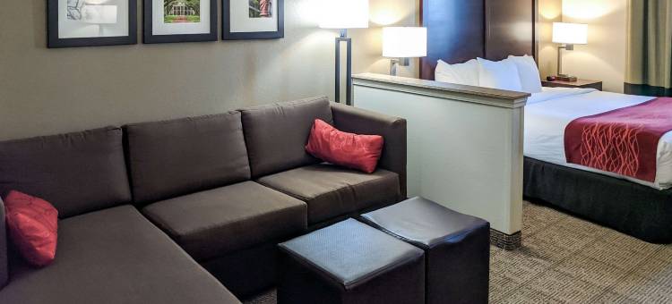 马里罗-新奥尔良西舒适酒店(Comfort Inn Marrero-New Orleans West)图片