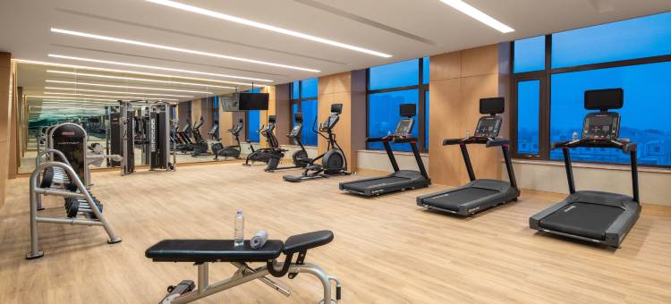 郑州高新假日酒店图片