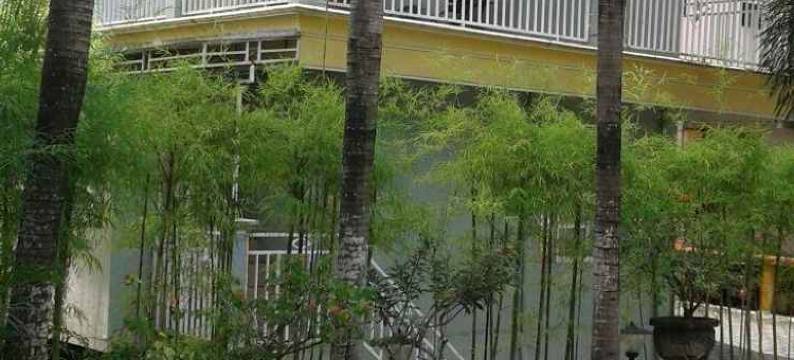 策德瓦斯酒店(Hotel Cendrawasih)图片