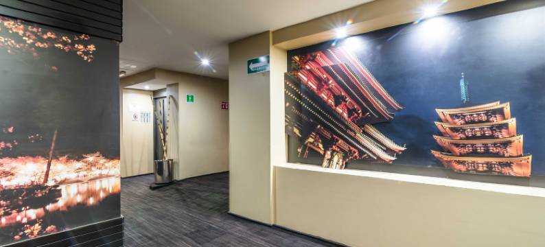 瑞佛玛埃克城市酒店(Exe Cities Reforma)图片