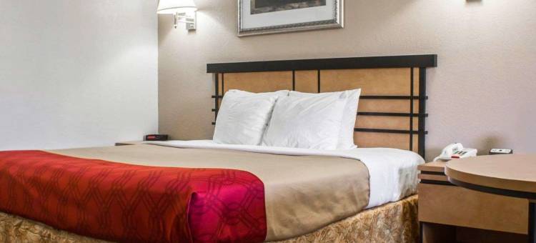 伊克诺旅馆及套房-科洛尼中心购物中心(Econo Lodge Inn & Suites Colonie Center Mall)图片