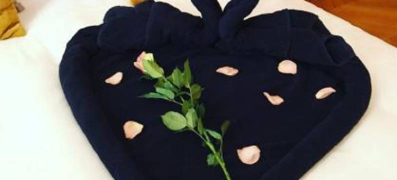 多美因巴比宗旅馆(Le Domaine de Barbizon)图片