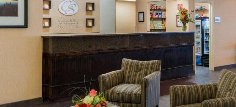 钦科蒂格岛海湾舒适套房度假村(Comfort Suites Chincoteague Island Bayfront Resort)图片