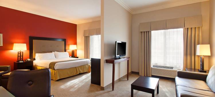 智选假日套房酒店二十九棕榈村(Holiday Inn Express & Suites Twentynine Palms- Joshua Tree)图片