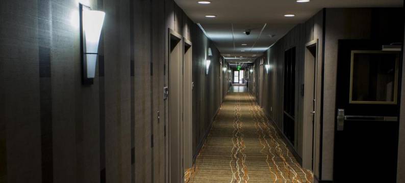 兰辛西部欢朋套房酒店(Hampton Inn & Suites Lansing West)图片