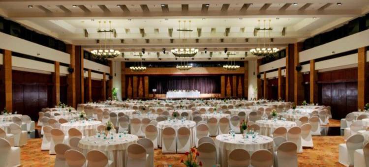 杰皮宫酒店&国际会议中心(Jaypee Palace Hotel)图片