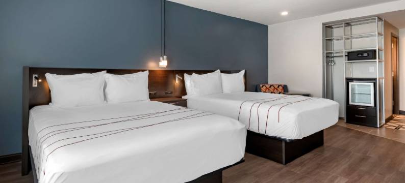 贝斯特韦斯特维博丹佛RiNo酒店(Vīb Hotel by Best Western Denver RiNo)图片