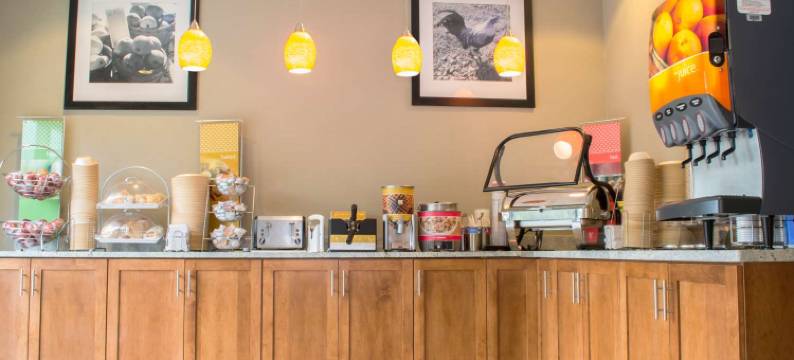 欢朋酒店坦帕-退伍军人高速公路-机场北(Hampton Inn Tampa-Veterans Expwy (Airport North))图片