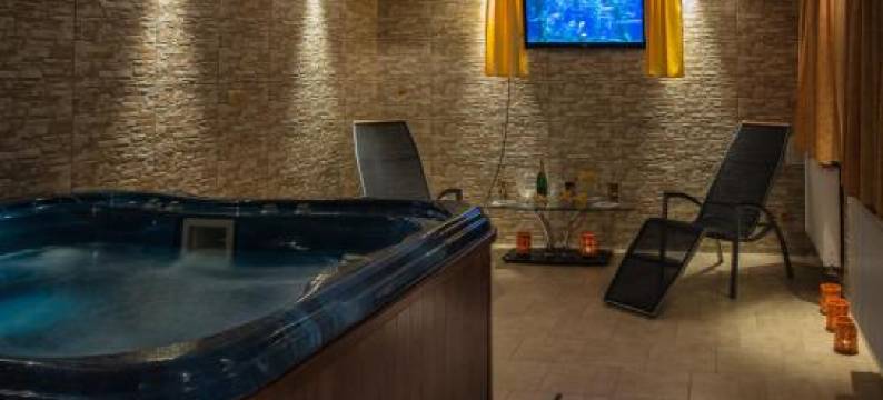 Wellness Penzion Palice图片