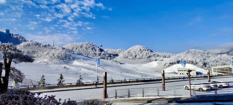 21绿葱坡滑雪场民宿(东大路分店)图片