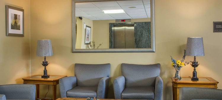 韦瑟斯菲尔德哈特福德舒适酒店(Comfort Inn Wethersfield - Hartford)图片
