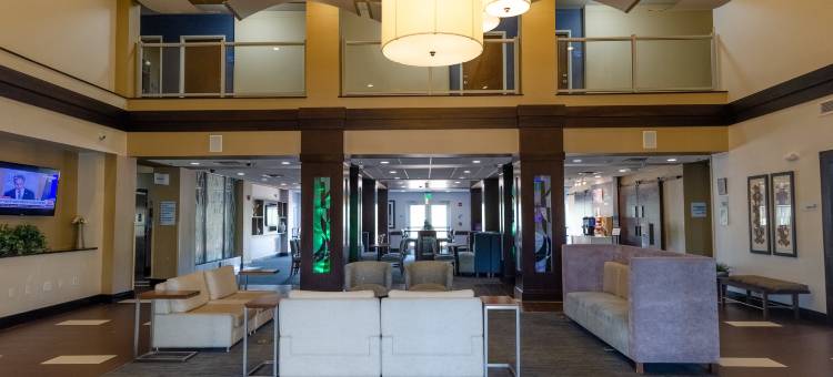 智选假日套房酒店亚特兰大ARPT西 - 营河(Holiday Inn Express & Suites Atlanta Arpt West - Camp Creek)图片