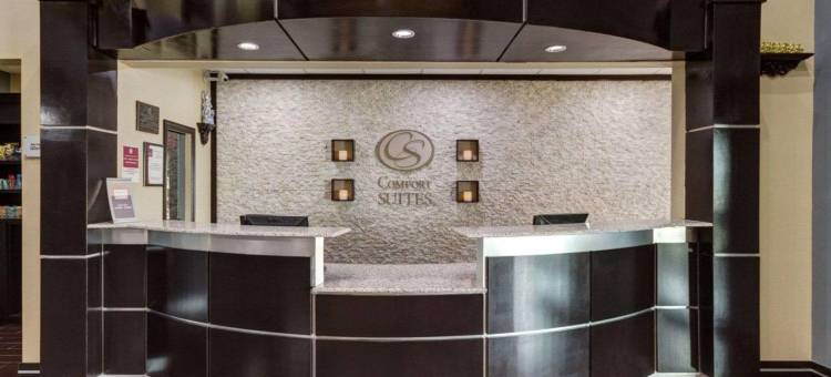 雷哈伯德湖舒适套房酒店(Comfort Suites Lake Ray Hubbard)图片