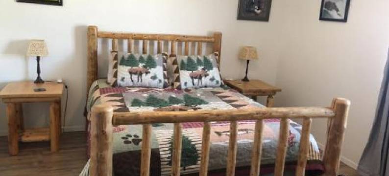 The Moose Crossing图片