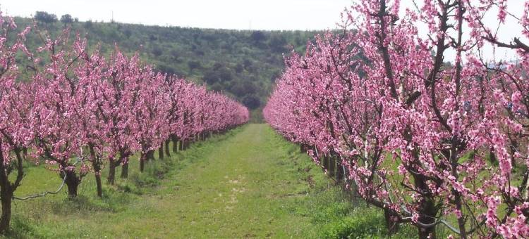 马克西祖母乡村旅馆(Casa Rural Abuela Maxi)图片