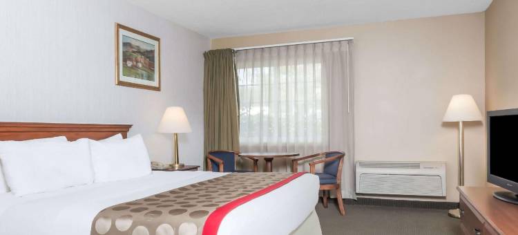 斯特拉斯堡/谢南多厄河谷温德姆华美达酒店(Ramada by Wyndham Strasburg/Shenandoah Valley)图片