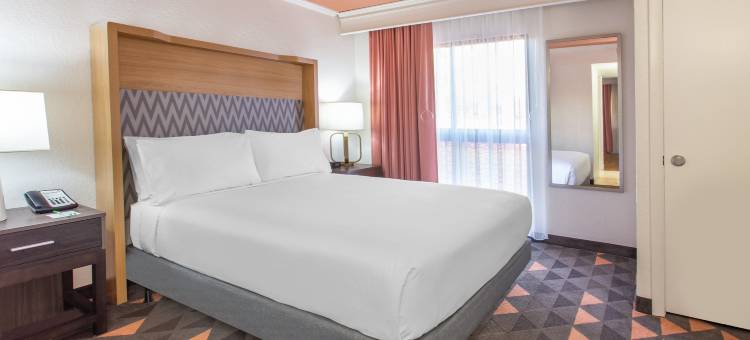 博卡拉顿北部假日酒店及套房(Holiday Inn & Suites BOCA RATON - NORTH by IHG)图片