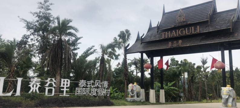 泰谷里图片