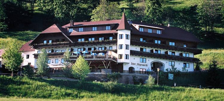 斯蒂亨沃斯酒店及餐厅(Hotel Restaurant Stigenwirth)图片