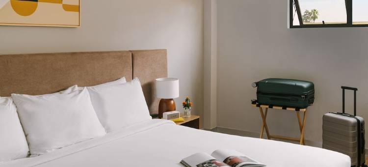 Sonder Cóporo图片