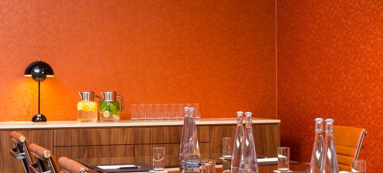 莫斯科谢列梅捷沃机场宇宙精选酒店(Cosmos Selection Moscow Sheremetyevo Airport Hotel, a Member of Radisson Individuals)图片