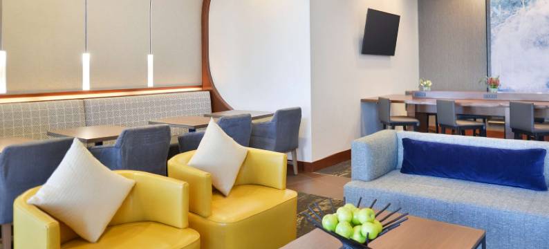 加登城凯悦嘉轩酒店(Hyatt Place Garden City)图片