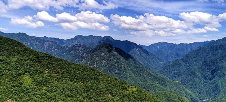 浙西大峡谷银杏家园民宿图片