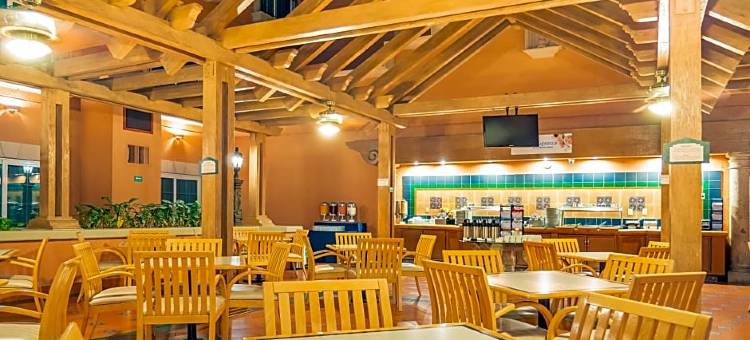Holiday Inn Express 托雷翁(Holiday Inn Express TORREON by IHG)图片