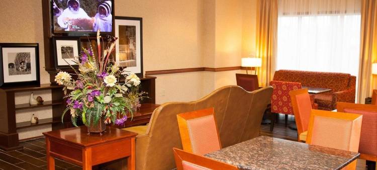 希尔顿欢朋酒店-布朗伍德(Hampton Inn Brownwood)图片