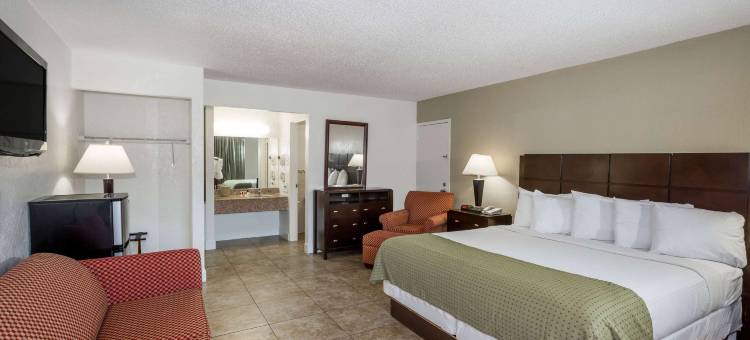 圣彼得堡坦帕湾地区温德姆戴斯酒店(Days Inn by Wyndham St. Petersburg / Tampa Bay Area)图片