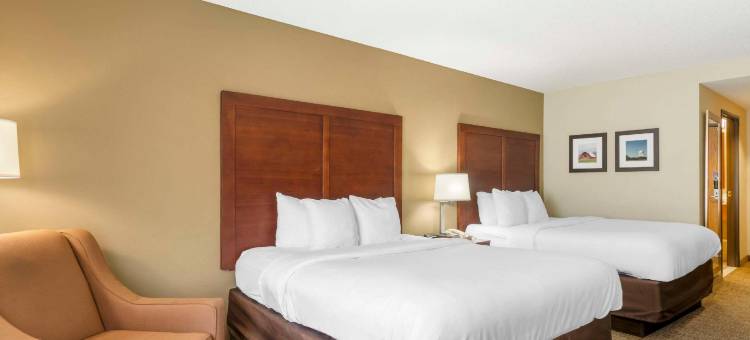 舒适套房酒店(Comfort Inn & Suites)图片