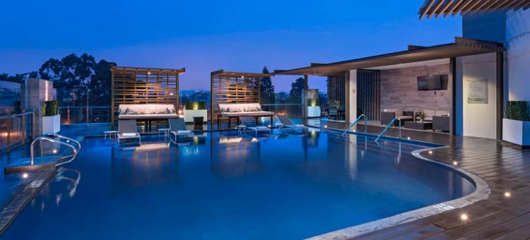 Holiday Inn 危地马拉(Holiday Inn Guatemala)图片