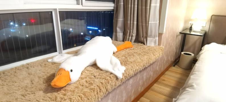 房东BJ公寓(金牛路分店)图片