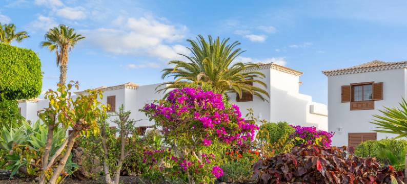 皇家特内里费岛乡村俱乐部酒店(Royal Tenerife Country Club)图片