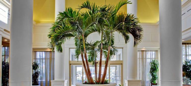 棕榈滩花园希尔顿花园客栈(Hilton Garden Inn Palm Beach Gardens)图片
