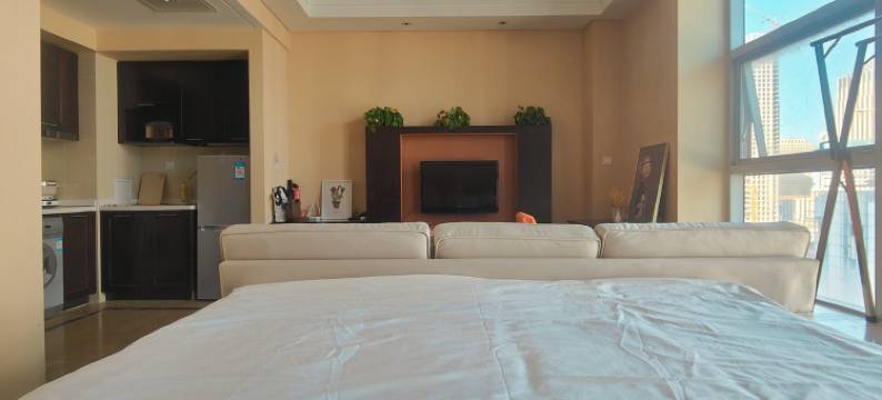 甲第星罗6788公寓(迎贤路分店)图片