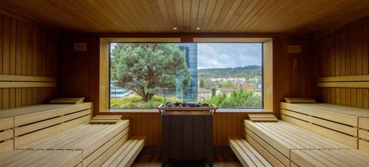苏黎世市美居酒店(Mercure Zürich City)图片