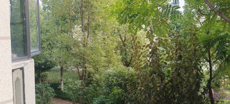 悦客孙损损公寓(北龙蟠街1号分店)图片