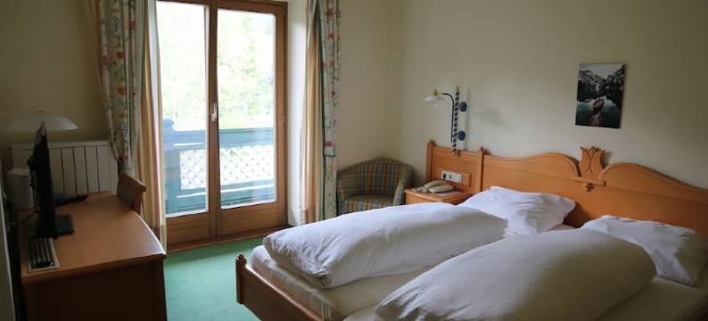 Voglauerhof酒店(Hotel Voglauerhof)图片