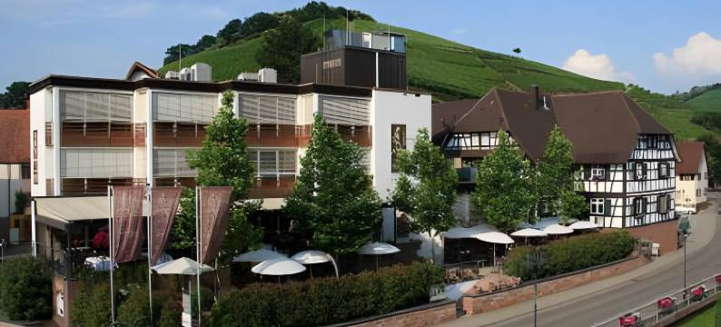 里特尔杜尔巴赫酒店(Hotel Ritter Durbach)图片