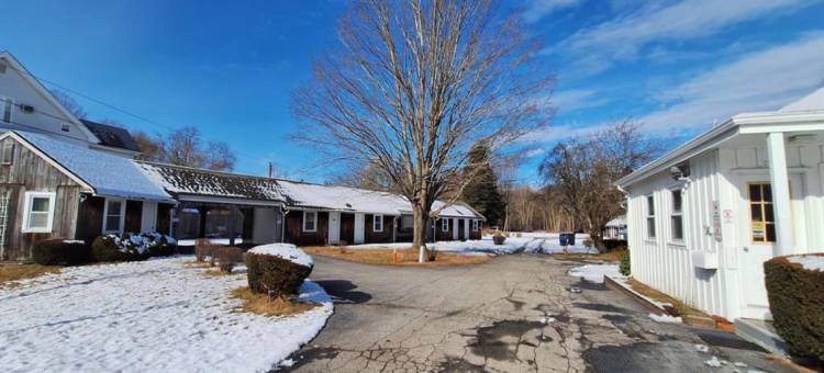 OYO克林顿村汽车旅馆(Village Motel)图片