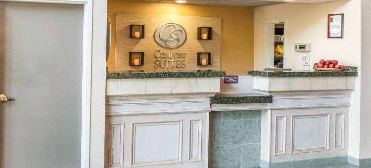 舒适套房 - 韦恩堡西南(Comfort Suites Fort Wayne - Southwest)图片