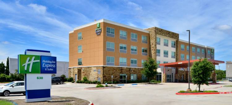怀利西智选假日套房酒店(Holiday Inn Express & Suites Wylie West)图片
