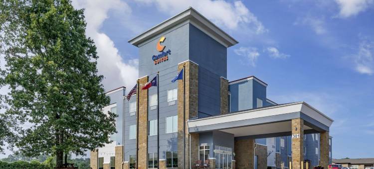 舒适全套房酒店(Comfort Suites)图片