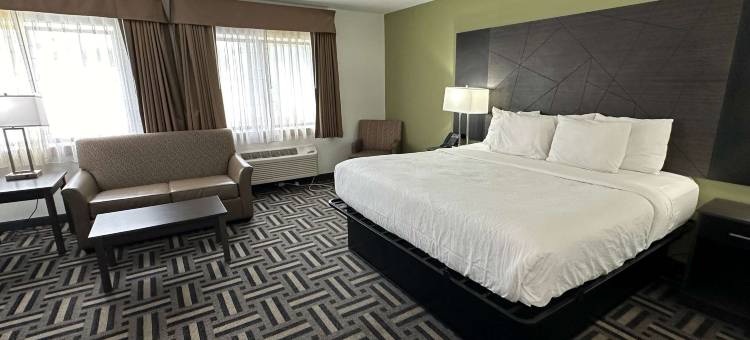 辛辛那提北拉昆塔温德姆套房酒店(La Quinta Inn & Suites North)(La Quinta Inn by Wyndham Cincinnati North)图片