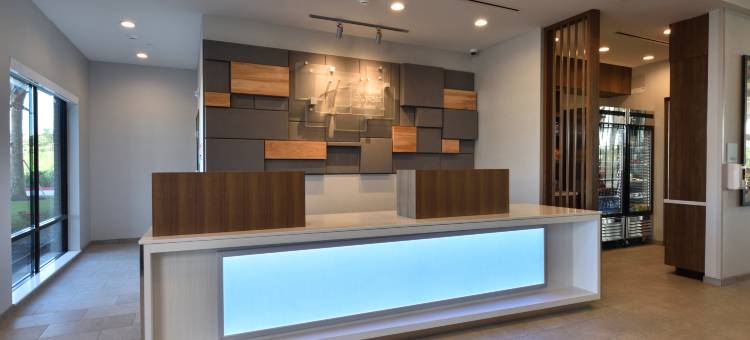 智选假日酒店及套房 - 伍德兰兹地区(Holiday Inn Express & Suites Spring - Woodlands Area)图片