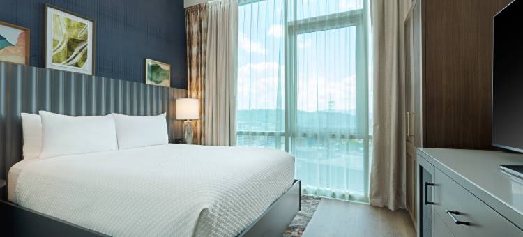 阿什维尔市中心英迪格酒店(Hotel Indigo Asheville Downtown)图片