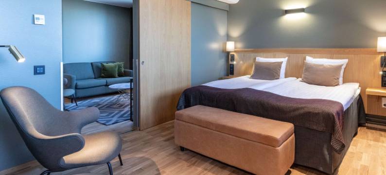 坦佩雷市斯堪迪克酒店(Scandic Tampere City)图片