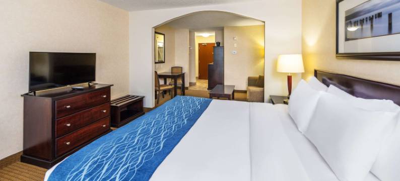 埃德森舒适酒店(Comfort Inn & Suites)图片